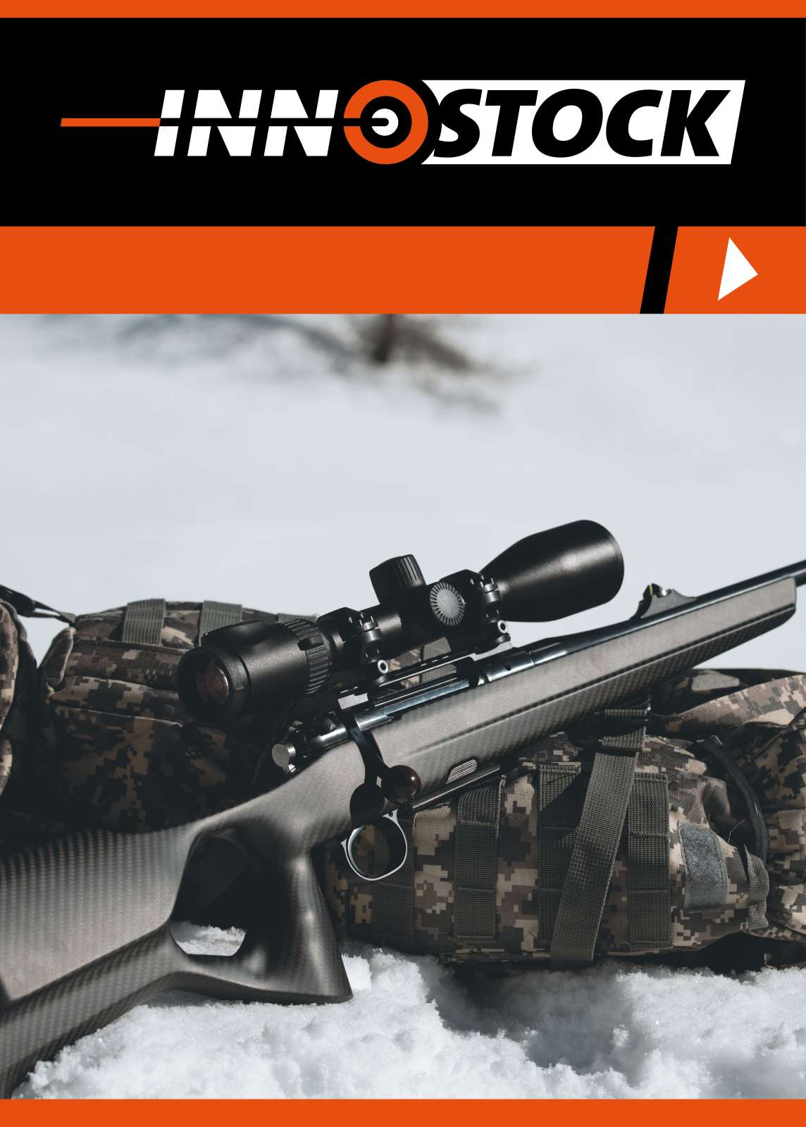 INNOSTOCK