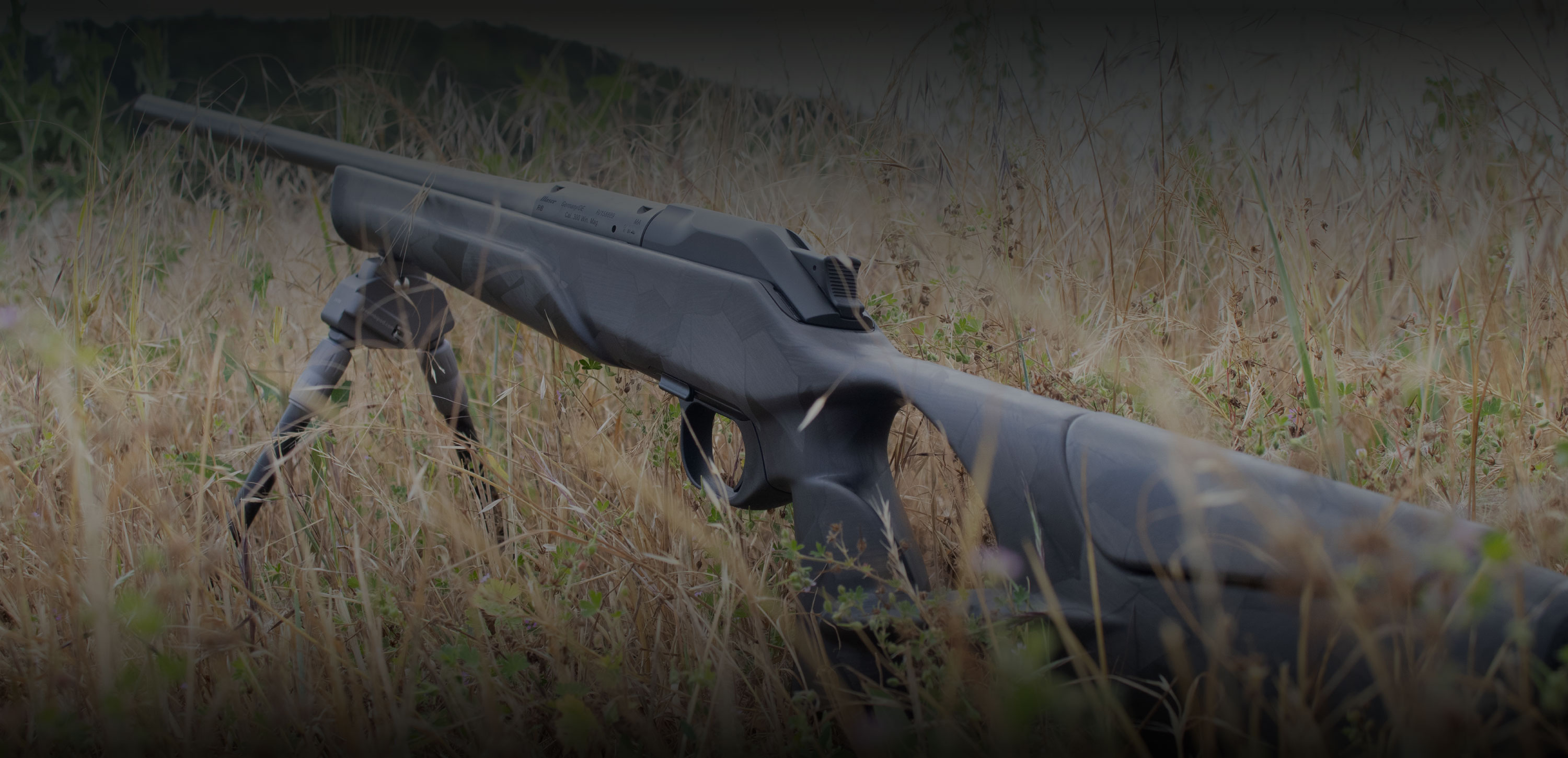 WAFFENSCHÄFTE / ZWEIBEIN